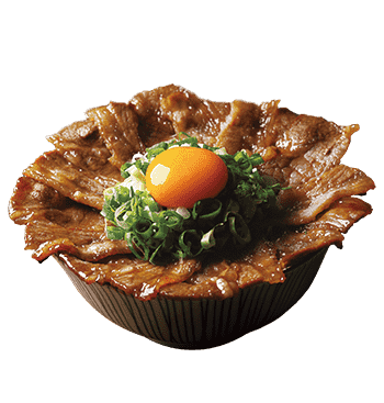 Japanese Style Grilled Beef/Pork Donburi with Fresh Egg Yolk and Green Onion